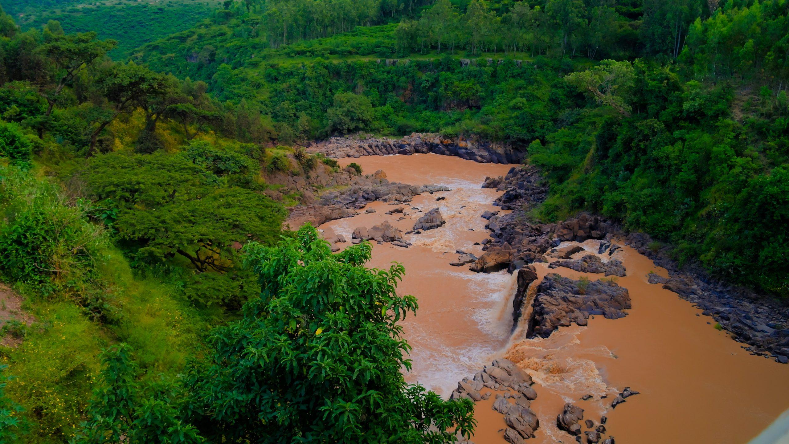 Lower Valley of the Awash