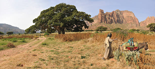 3-Day Tigray Churches & Gheralta Trekking Tour - #14