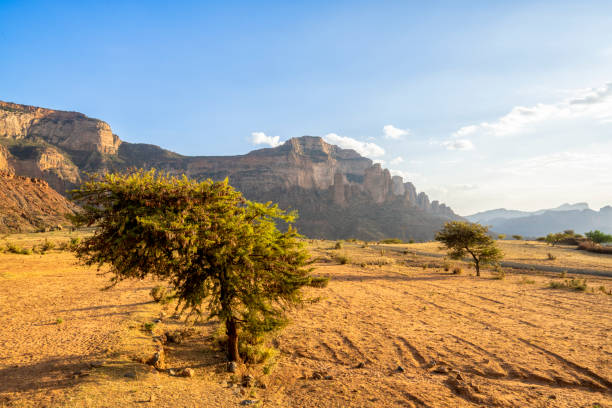 3-Day Tigray Churches & Gheralta Trekking Tour - #7