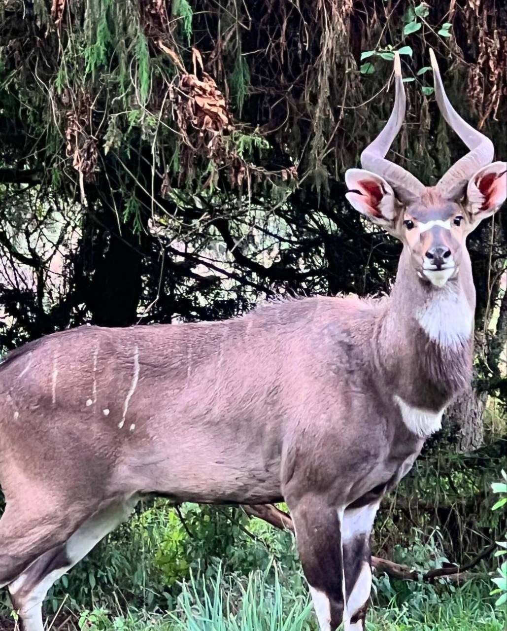 3-Day Bale Mountains National Park Tour - #5