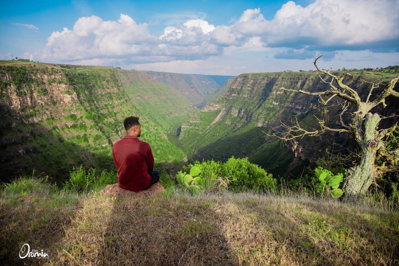 3-Day Bale Mountains National Park Tour - #3