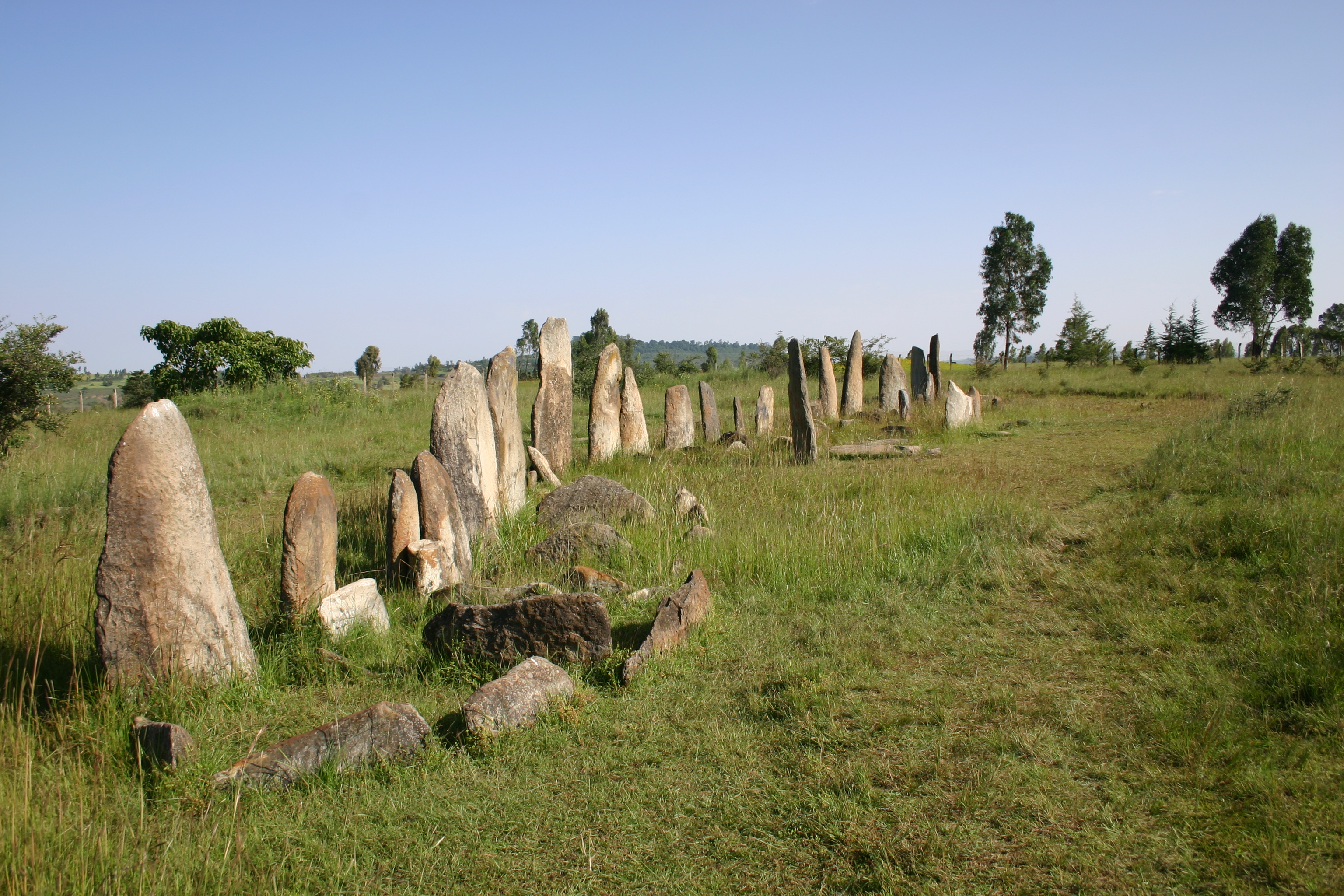 Tiya Tour Full Day