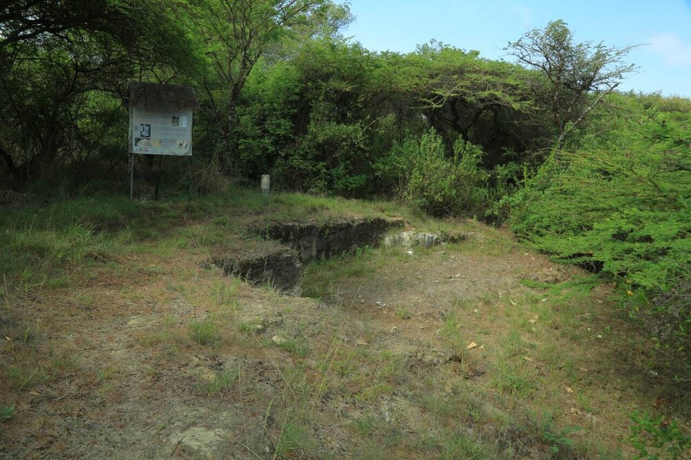 Melka Kunture and Balchit